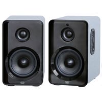 Trevi AVX 565 BT Altoparlanti Amplificati Bluetooth 50W USB Micro SD AUX-IN