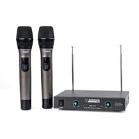 AudioDesign Pro PMV 112 Radio Microfono Wireless Doppio Palmare