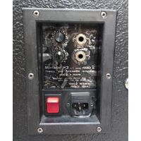 Montarbo 480A Coppia Casse Amplificate Attive Vintage