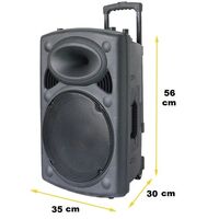 ND-12 Cassa amplificata bluetooth Trolley portatile attiva con microfono