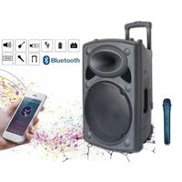 ND-12 Cassa amplificata bluetooth Trolley portatile attiva con microfono