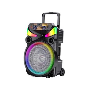 Cassa acustica portatile ricaricabile trolley 15" Bluetooth TWS/SD/USB