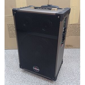 Winford D-12 Cassa acustica portatile ricaricabile trolley Professionale 12" 80W Bluetooth/SD/USB in Legno