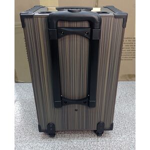 Winford D-12 Cassa acustica portatile ricaricabile trolley Professionale 12" 80W Bluetooth/SD/USB in Legno