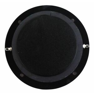 Tweeter magnetico al titanio per casse acustiche hi-fi 80W 6 Ohm doppio Magnete