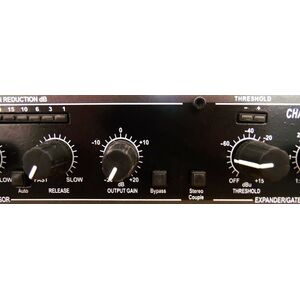 Compressor / Gate / Expander a 2 canali per voce canto e strumenti musicali
