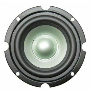 Altoparlante Mid Woofer Professionale Schermato 9 Cm. 10W 8 Ohm 90mm