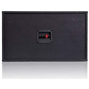 Coppia Diffusori Audio Passivi Array 10" Casse Acustiche Passive Orizzontali