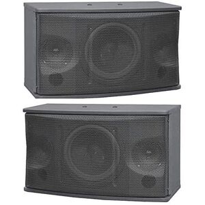 Coppia Diffusori Audio Passivi Array 10" Casse Acustiche Passive Orizzontali