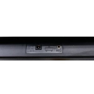 ffalstaff STUDIO-54 Tastiera Elettronica Musicale 54 Tasti per uso Scolastico con Borsa Alimentatore e Microfono