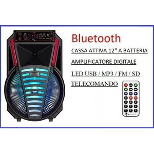 Cassa acustica portatile con maniglia e ruote 12"  Luce LED USB/Bluetooth/Radio