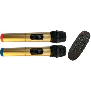 Audiodesign Pro M2 15W/L CASSA ATTIVA A Batteria Bluetooth USB MP3 + Microfoni WI-FI UHF 15" 750W