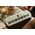 CASIO SA80 Tastiera Pianola Elettronica Musicale 44 Tasti (Bianca fondo verde)