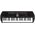 CASIO SA81 Tastiera Pianola Elettronica Musicale 44 Tasti (Nera fondo bianco)