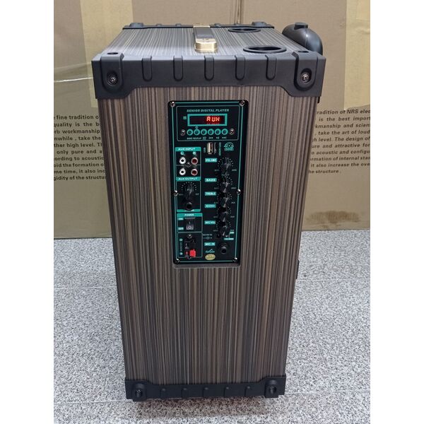 Winford D-12 Cassa acustica portatile ricaricabile trolley Professionale 12" 80W Bluetooth/SD/USB in Legno