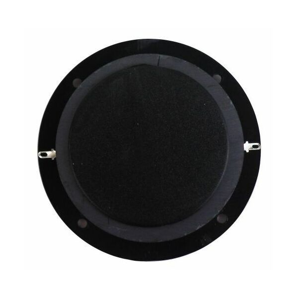 Tweeter magnetico al titanio per casse acustiche hi-fi 80W 6 Ohm doppio Magnete