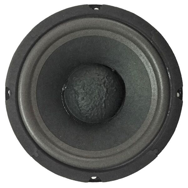 Altoparlante Woofer 165 mm 4 Ohm 100W 16,5 Cm Sospenzione Pneumatica