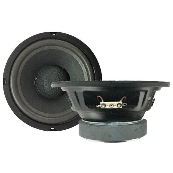 Altoparlante Woofer 165 mm 4 Ohm 100W 16,5 Cm Sospenzione Pneumatica