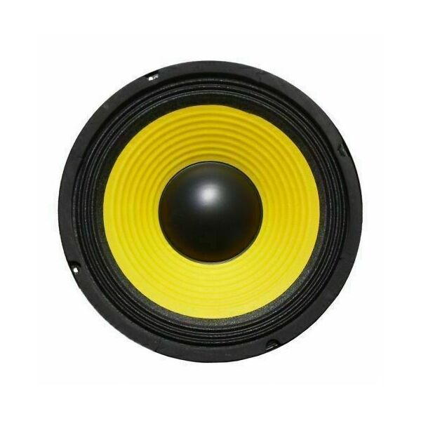 Woofer 6,5" Ricambio per Casse Acustiche 165 mm. 8 Ohm 100W e/o Auto HI-FI Car!