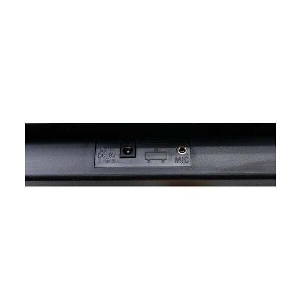 ffalstaff STUDIO-54 Tastiera Elettronica Musicale 54 Tasti per uso Scolastico con Borsa Alimentatore e Microfono